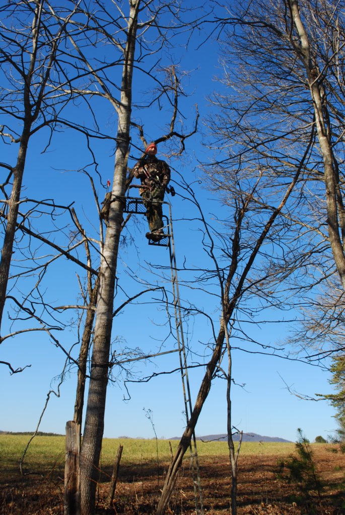 Un homme avec un arc et des flèches dans un arbre se cache à la recherche d'une proie à chasser.