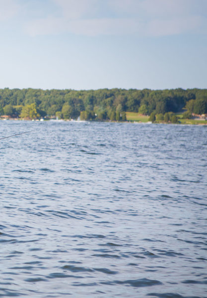 Image du lac Anna prise depuis l'eau avec des arbres en arrière-plan sur la rive.