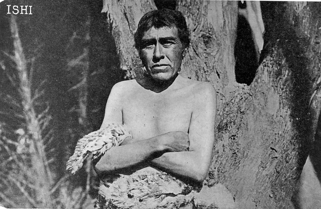 Image en noir et blanc d'Ishi debout devant un arbre.