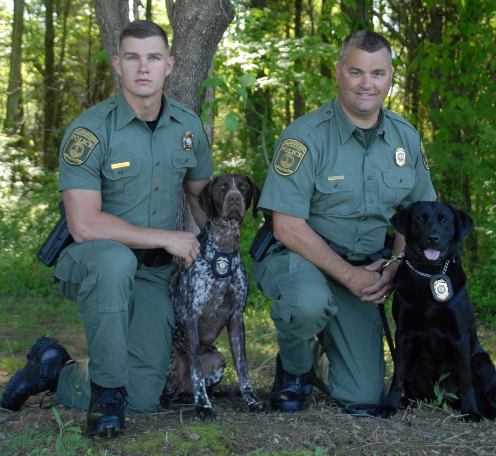 Faites connaissance avec les deux nouveaux agents canins du DWR : Avery, le labrador noir, et Waylon, le chien d'arrêt !