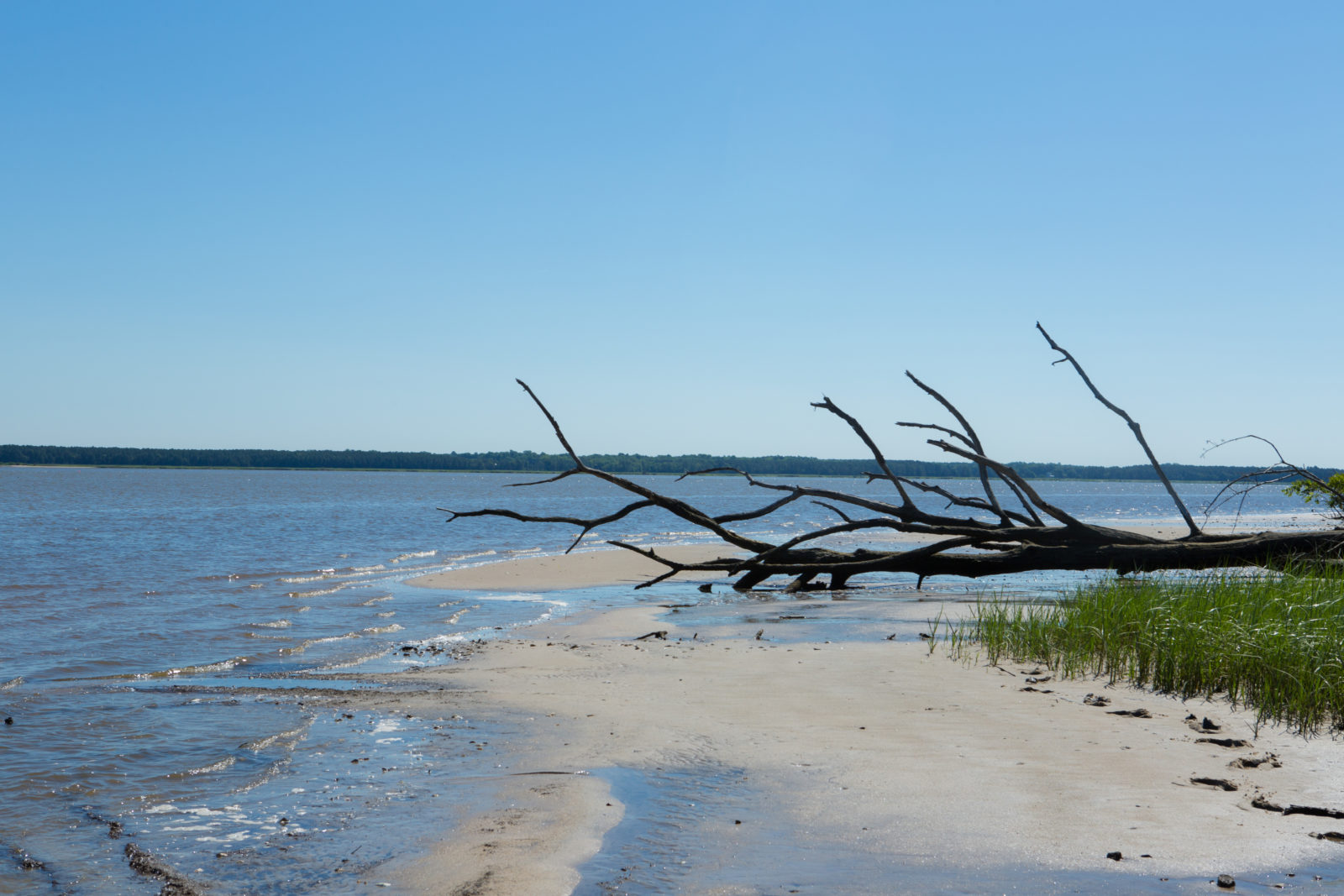 L'AMM de Ware creek offre de belles plages à explorer.