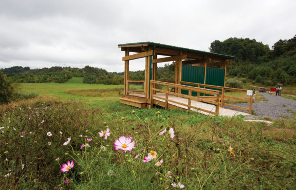 Image d'un poste d'observation des élans qui se présente comme un pavillon en bois avec un toit et des murs en tôle verte et une rampe d'accès ; au premier plan, des fleurs roses et blanches.