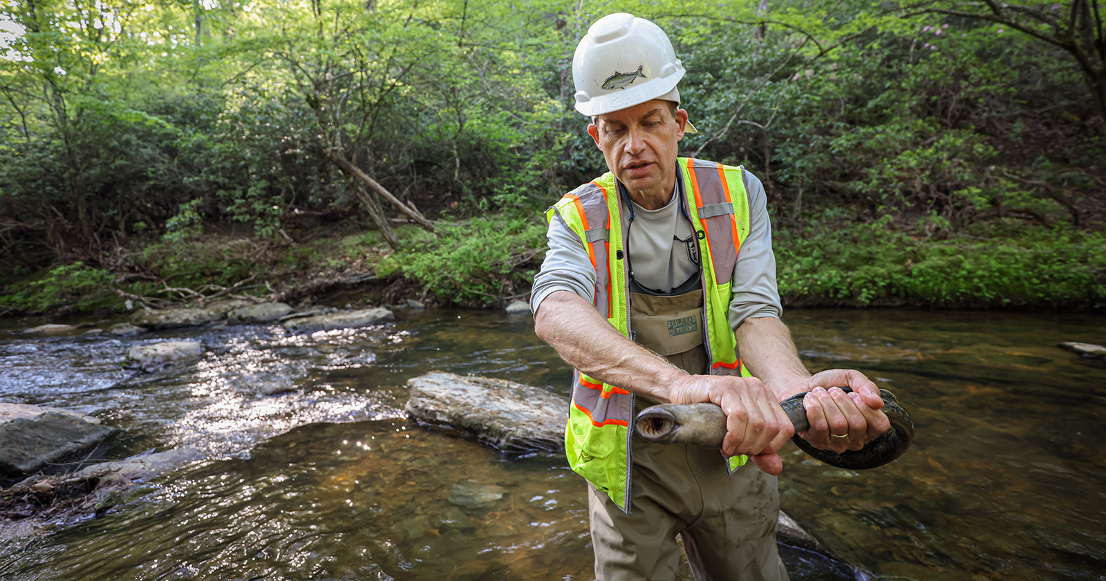Photo d'un homme tenant une lamproie marine devant une rivière.