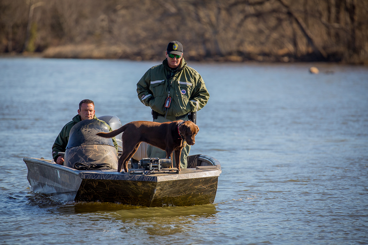 K9 Molly travaille à l'olfaction sur l'eau sous le regard de son maître, le chef de police Wes Billings (à droite), et du chef de police James Patrillo, qui conduit le bateau.