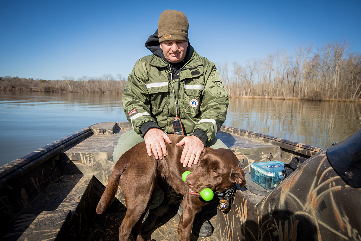 Lorsque les K9ont terminé avec succès leur travail de recherche d'odeur, ils sont récompensés par un jeu, tout comme ils le font pour leurs recherches d'articles habituelles.