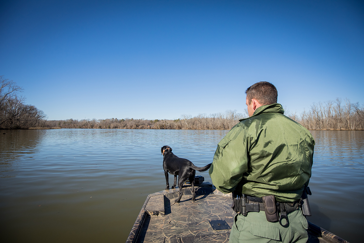 K9 Bailey flaire l'eau sous le regard du chef de police James Patrillo.