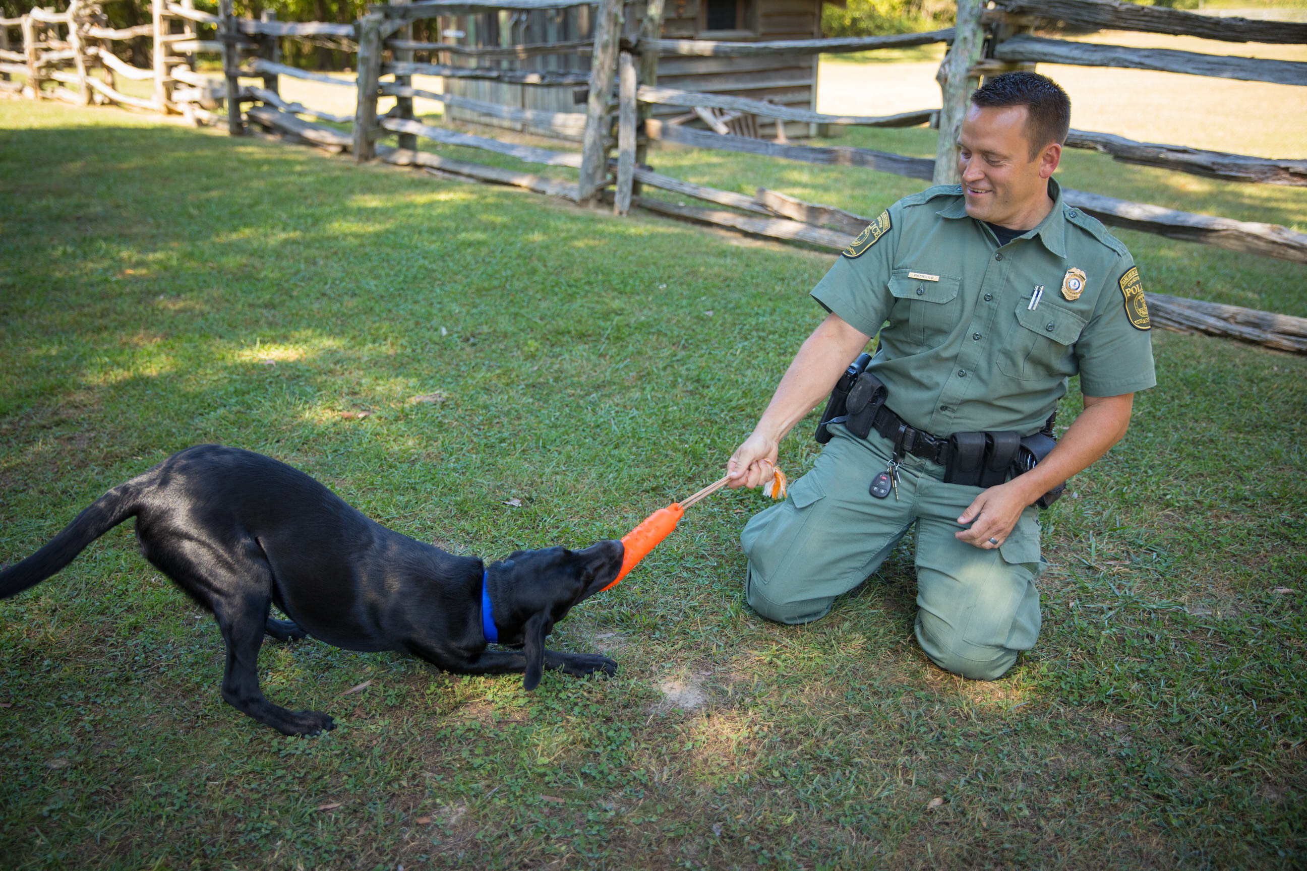 Le CPO Patrillo joue à la corde avec un jouet orange avec K9 Bailey après une séance d'entraînement.