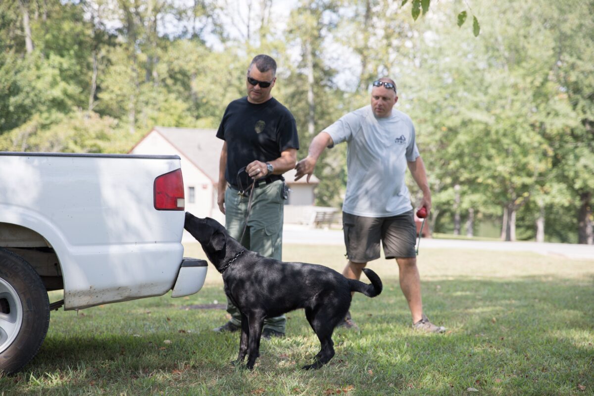 L'officier Mark VanDyke et K9 Avery sur le terrain.
