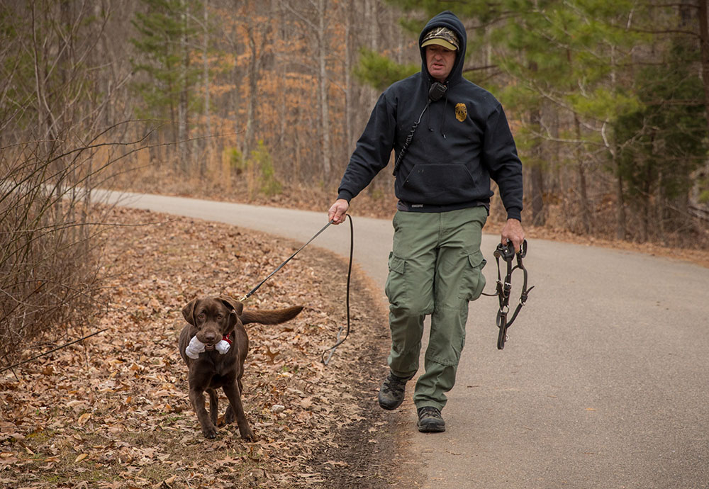 Une image du chien Molly avec un jouet en corde après avoir effectué un exercice de dressage. 