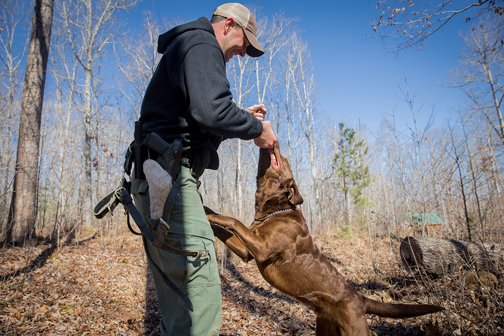 Bruno, un labrador chocolat, joue avec Tyler après un exercice d'entraînement