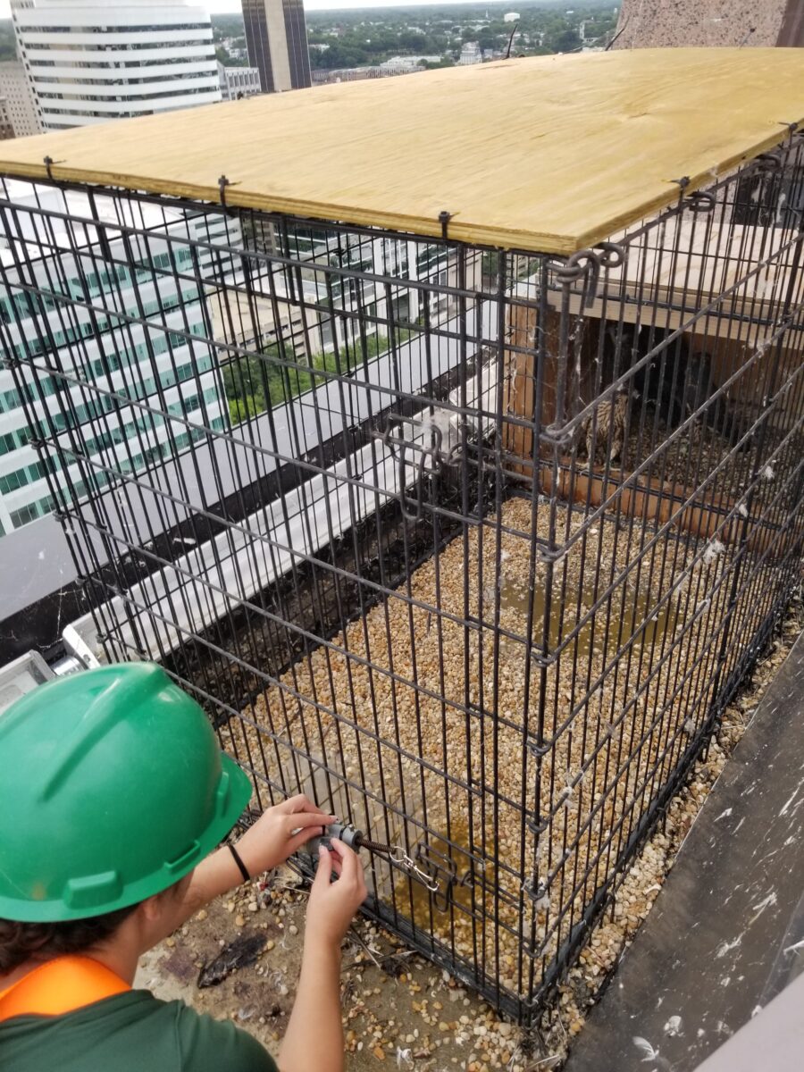 Le personnel de la DWR dépanne le dispositif d'ouverture à distance de la porte du stylo.