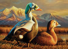 Une image du timbre fédéral sur les canards 2025-2026