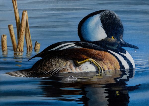 Œuvres d’art du 2026–2027 Stamp de conservation des oiseaux migrateurs de Virginia