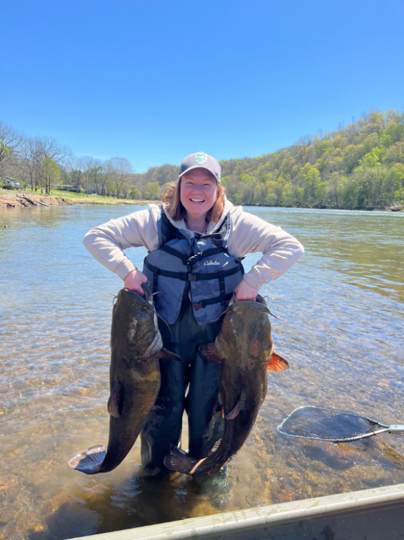 Pêcheur debout dans une eau peu profonde de rivière, tenant deux gros poissons-chats sur la haute New River.