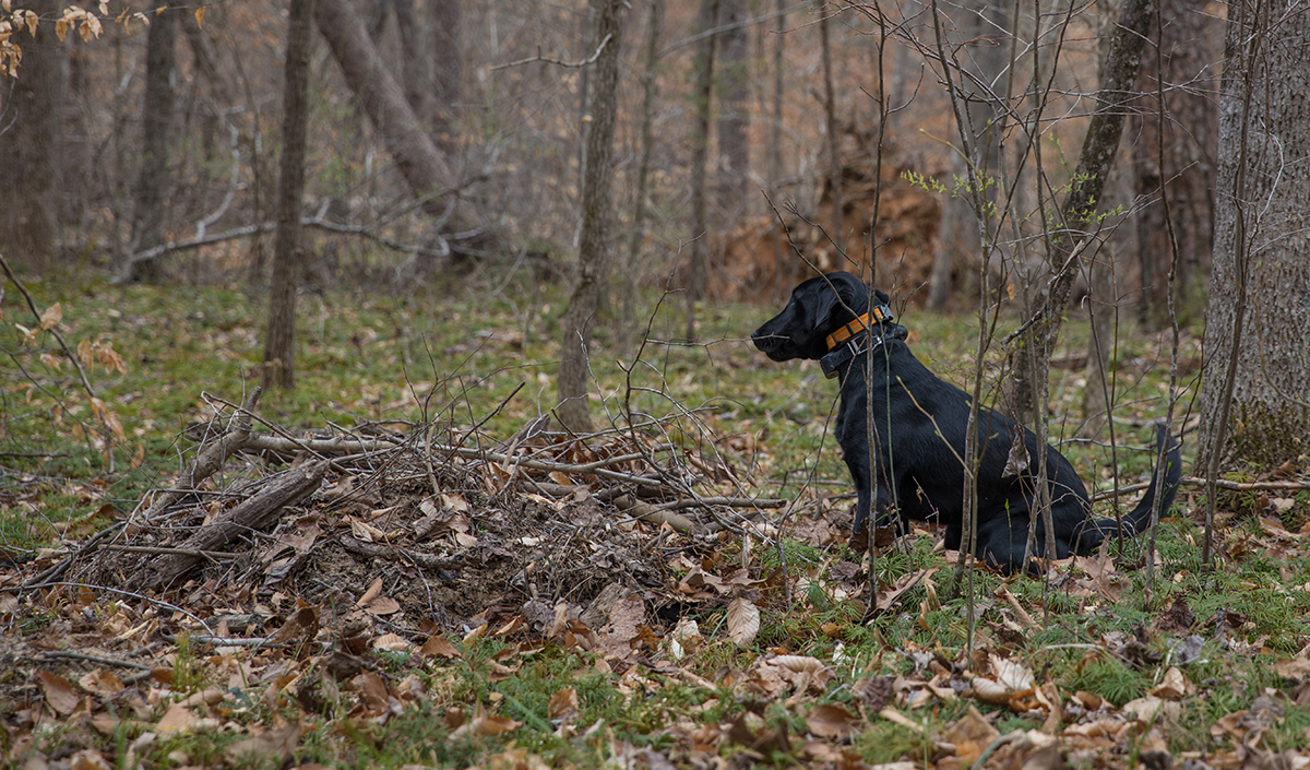 Grace s'assoit pour signaler qu'elle a trouvé quelque chose.