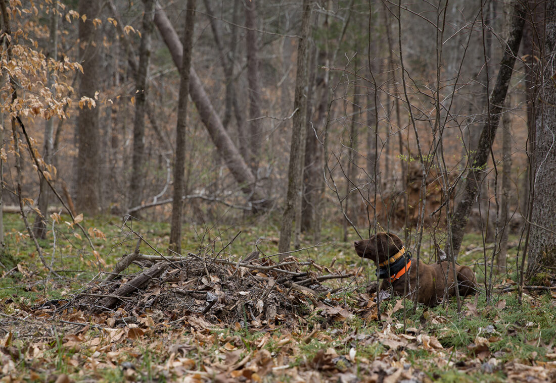 Reese alerte sur ce qu'elle a trouvé.