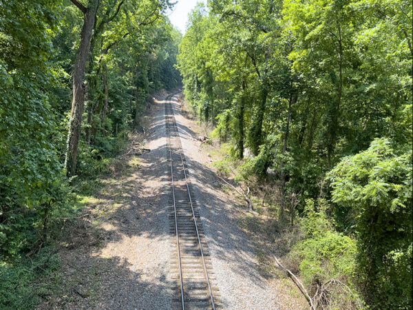 Le pont qui enjambe la voie ferrée permet d'observer les oiseaux à la cime des arbres. Recherchez les fauvettes pendant la migration. Crédit photo : Lisa Mease