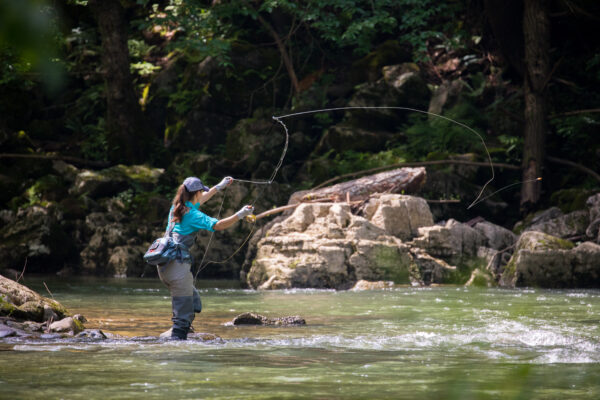 Image d'une jeune fille utilisant un grand filet pour pêcher des truites dans une rivière.
