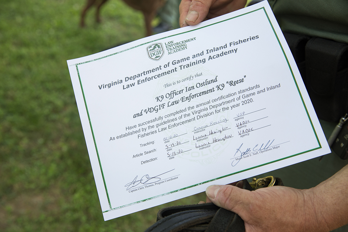 Reese the K9 certificat de récompense d'officier