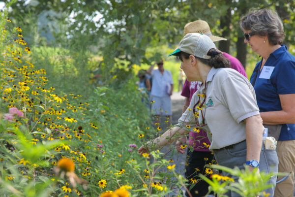 Image d'un jardin de pollinisateurs au lac Shenandoah contenant plusieurs personnes en raison d'un atelier sur les pollinisateurs organisé par le DWR.