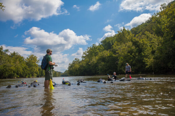 Image d'un groupe de personnes surveillant la rivière Clinch à la recherche de moules.