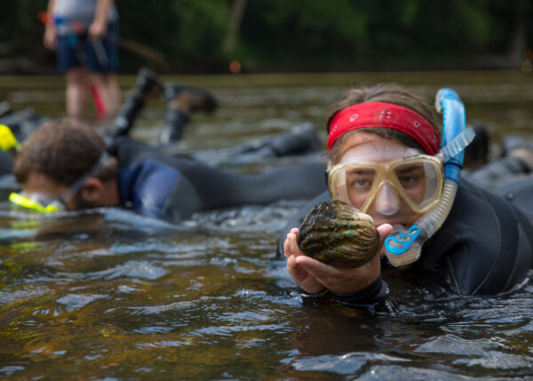 Image d'une fille dans l'eau avec un tuba tenant une moule.