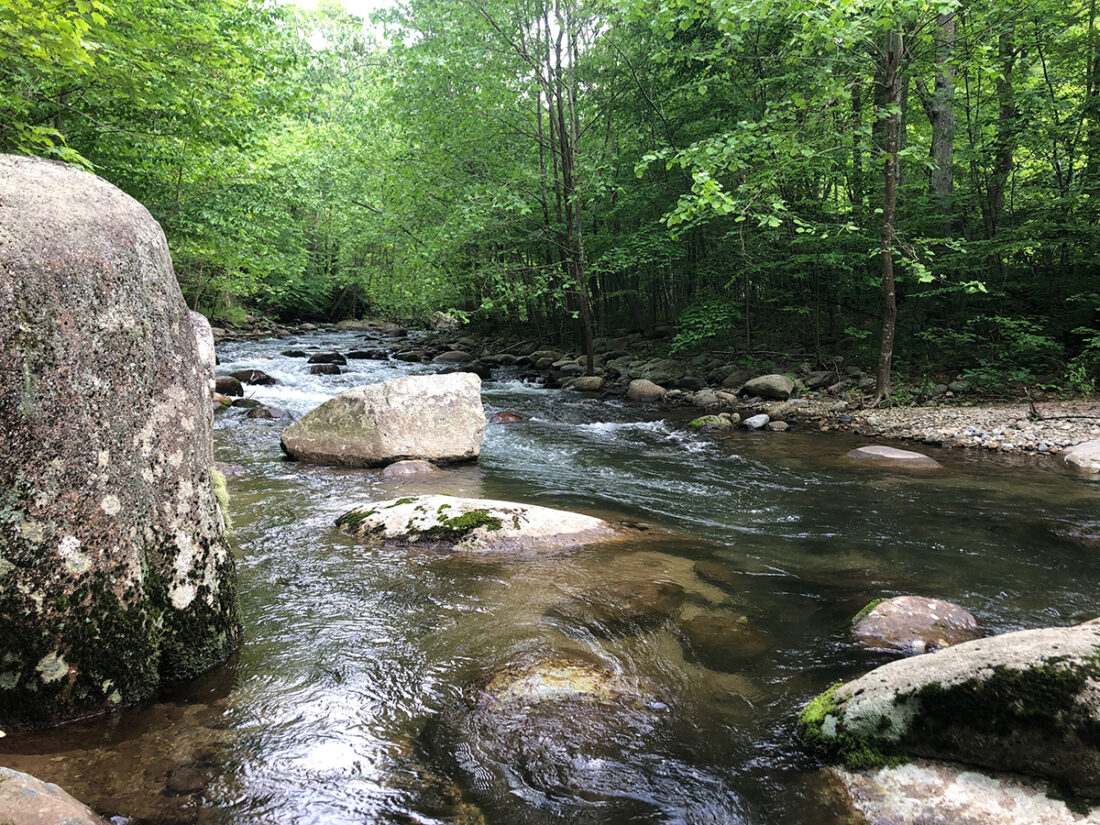 Une rivière remplie de rochers et bordée d'un feuillage vert.