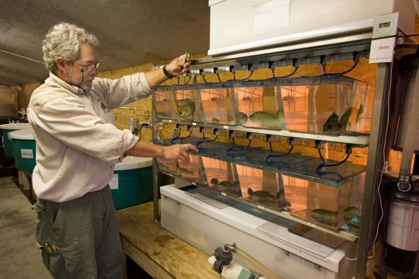 Cliquez pour agrandir l'image