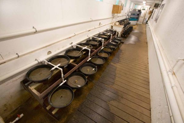 Cliquez pour agrandir l'image