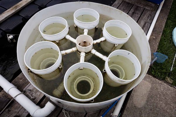 Cliquez pour agrandir l'image