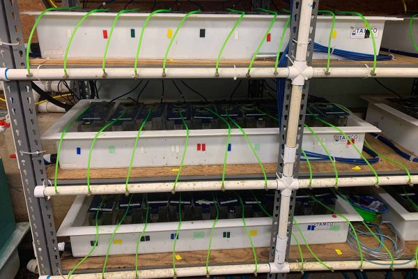 Cliquez pour agrandir l'image