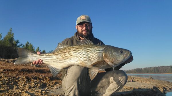 Le pêcheur Derek Merricks pose avec un bar rayé qu'il a attrapé au réservoir Little Creek.