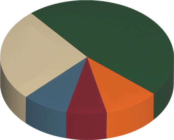 Un diagramme circulaire montrant les catégories de projets d'investissement du DWR