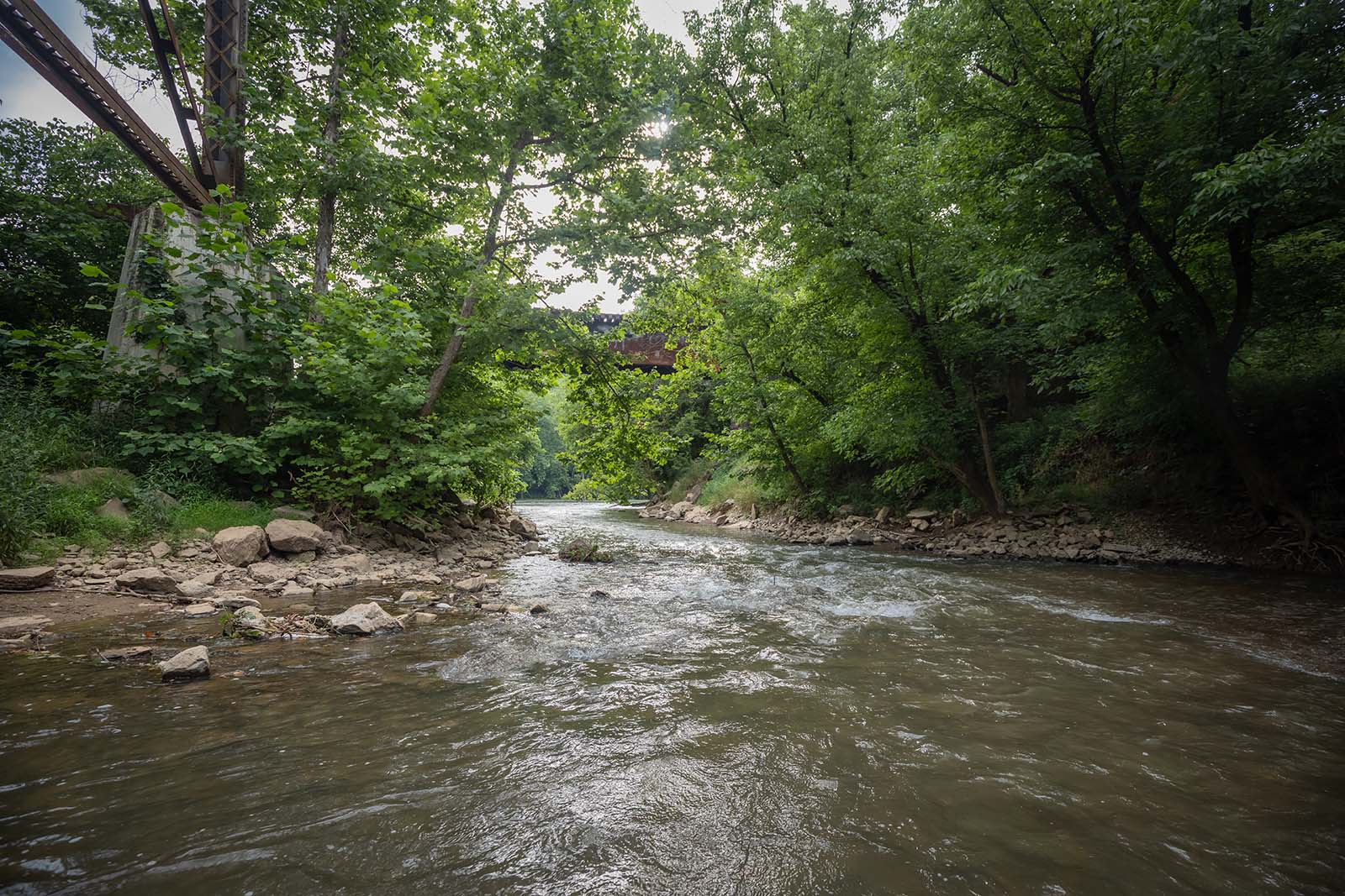 Une rivière coulant le long d'une rive rocheuse bordée d'arbres