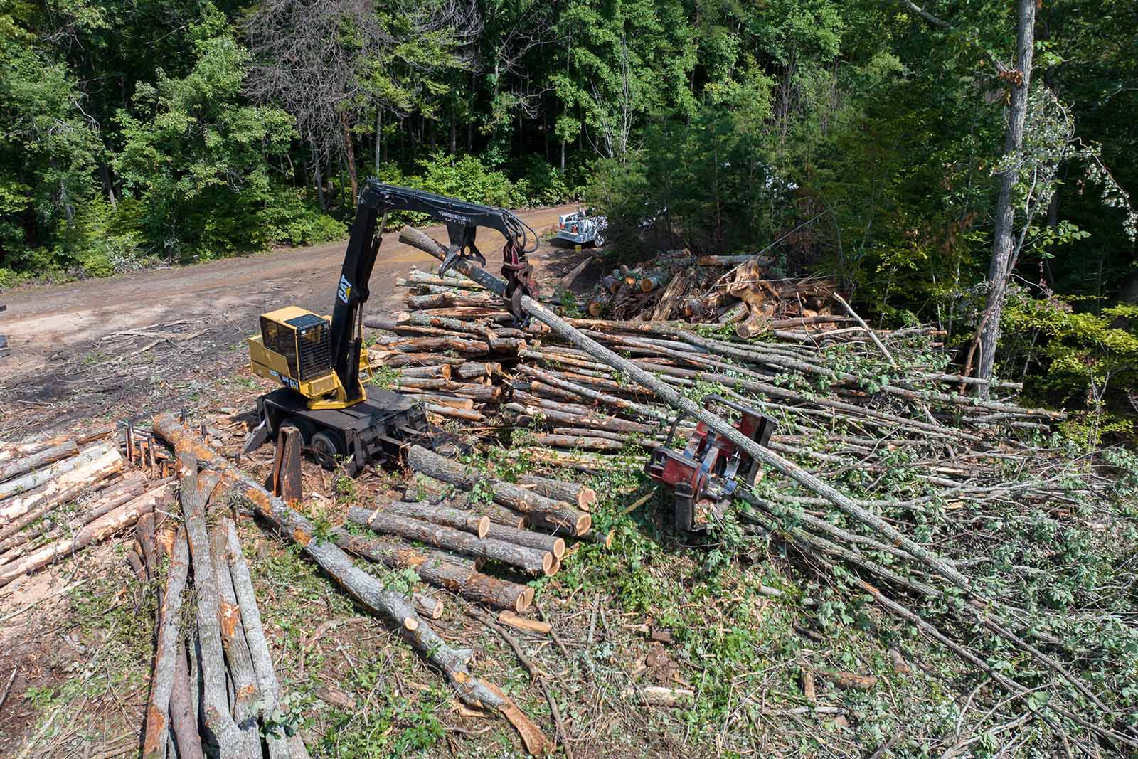 Plan d'action pour les AMM