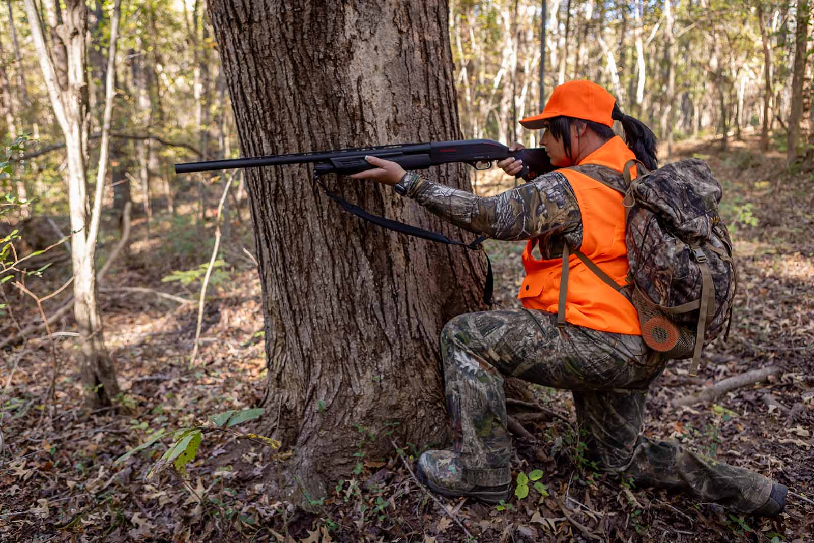 Extension des saisons de tir pour le cerf