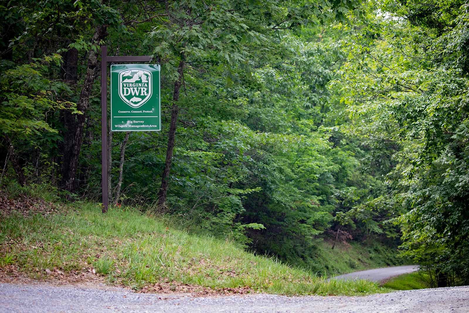 Comment nous sommes financés et comment nous dépensons
