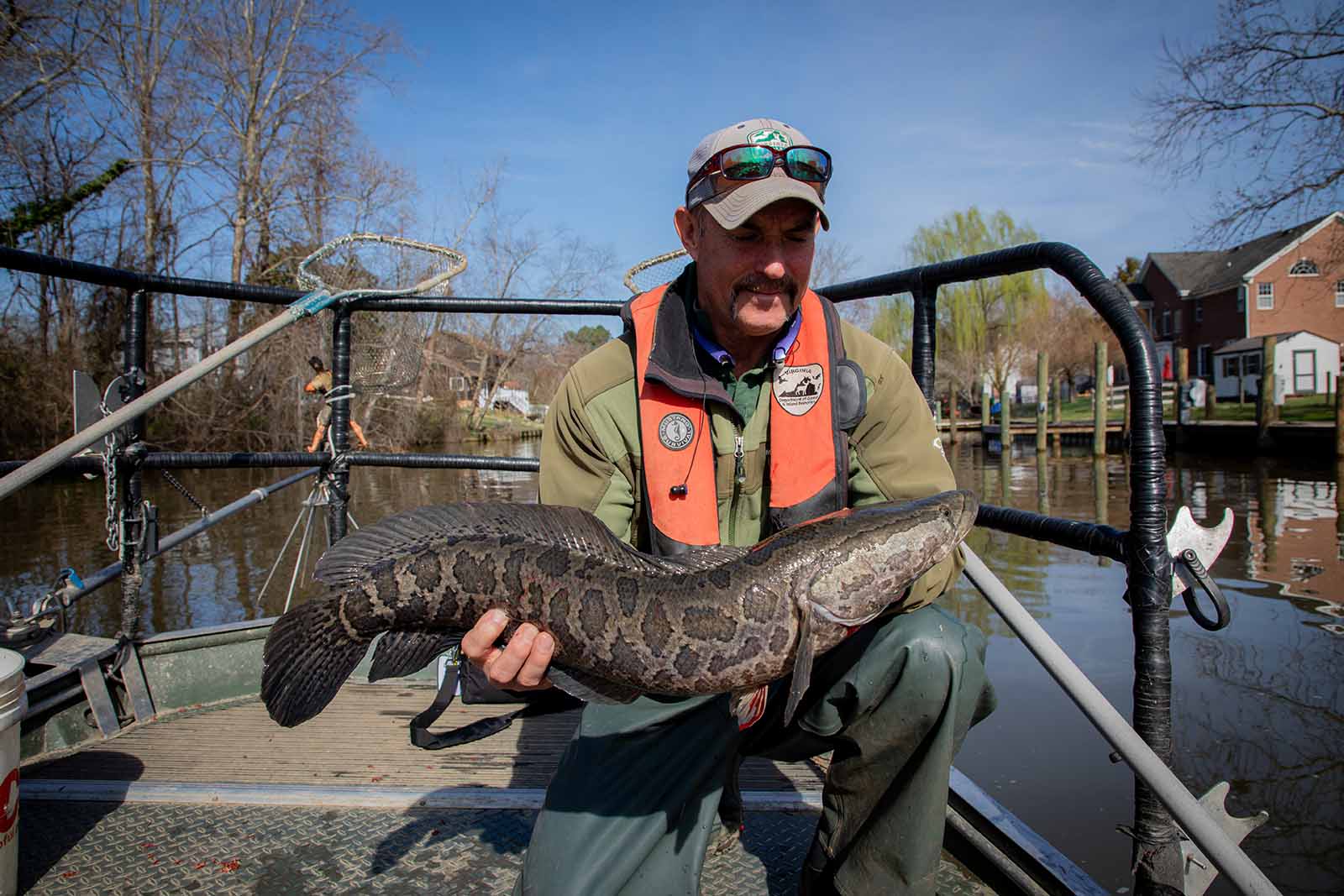 Recherche sur les espèces envahissantes