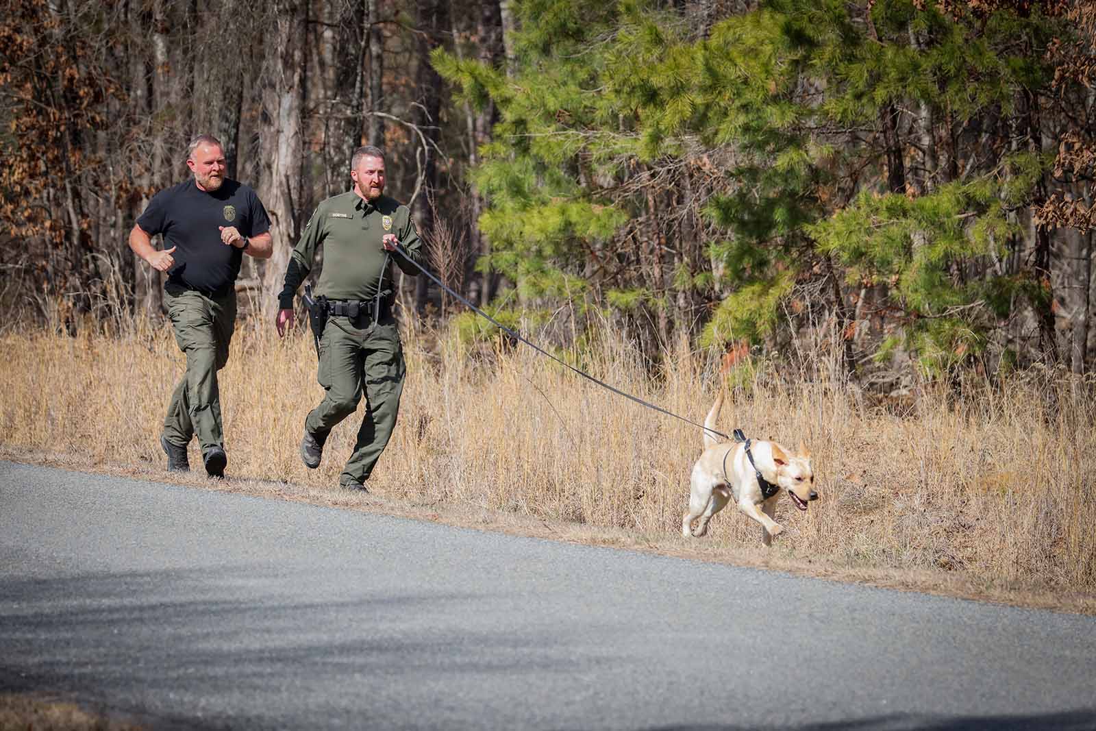 K9s Développer les capacités