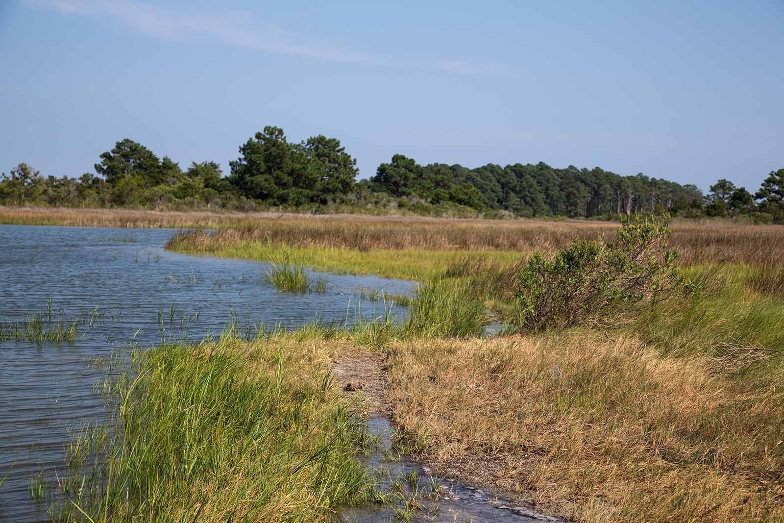 Renforcer la résilience