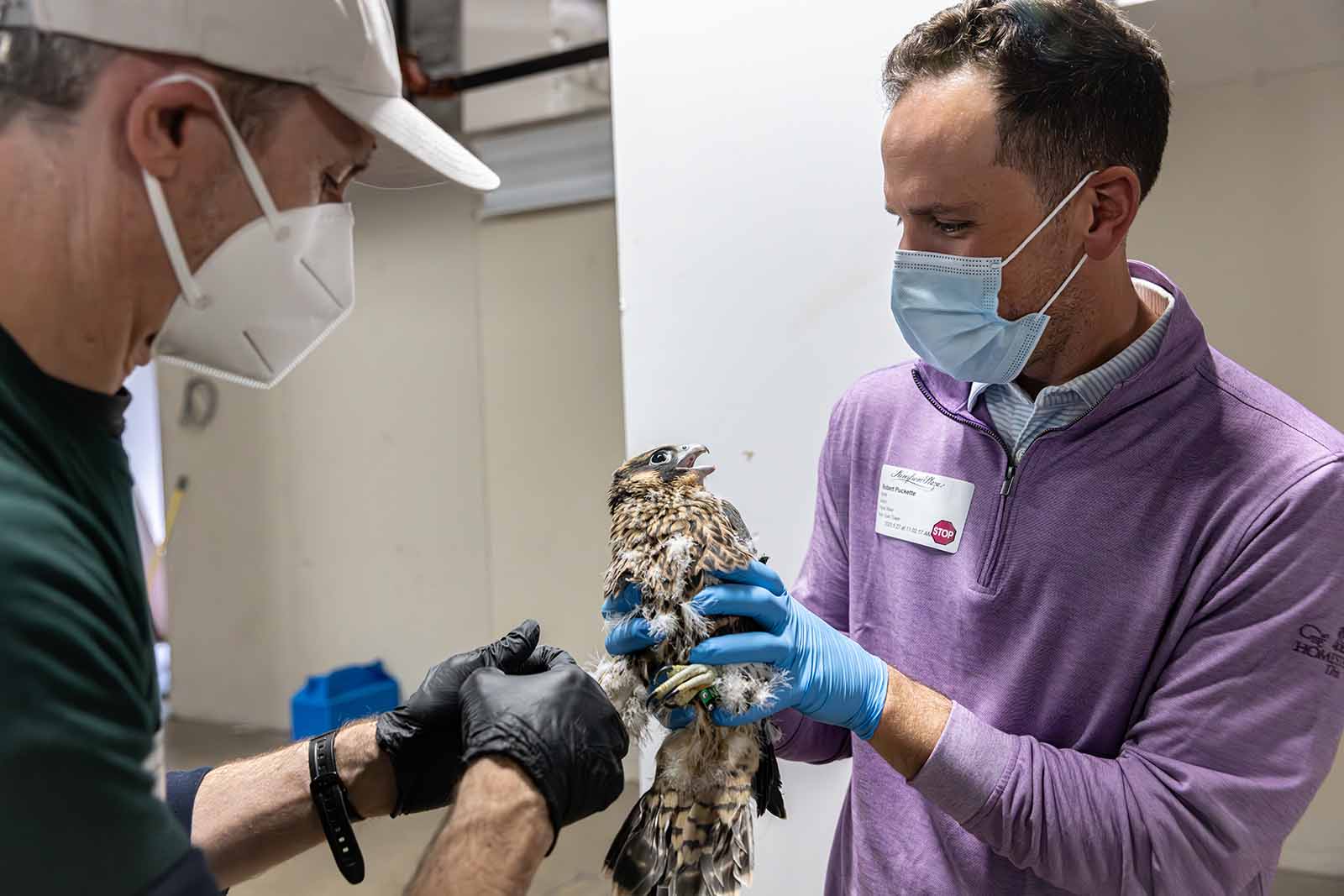 Bière Triple Crossing