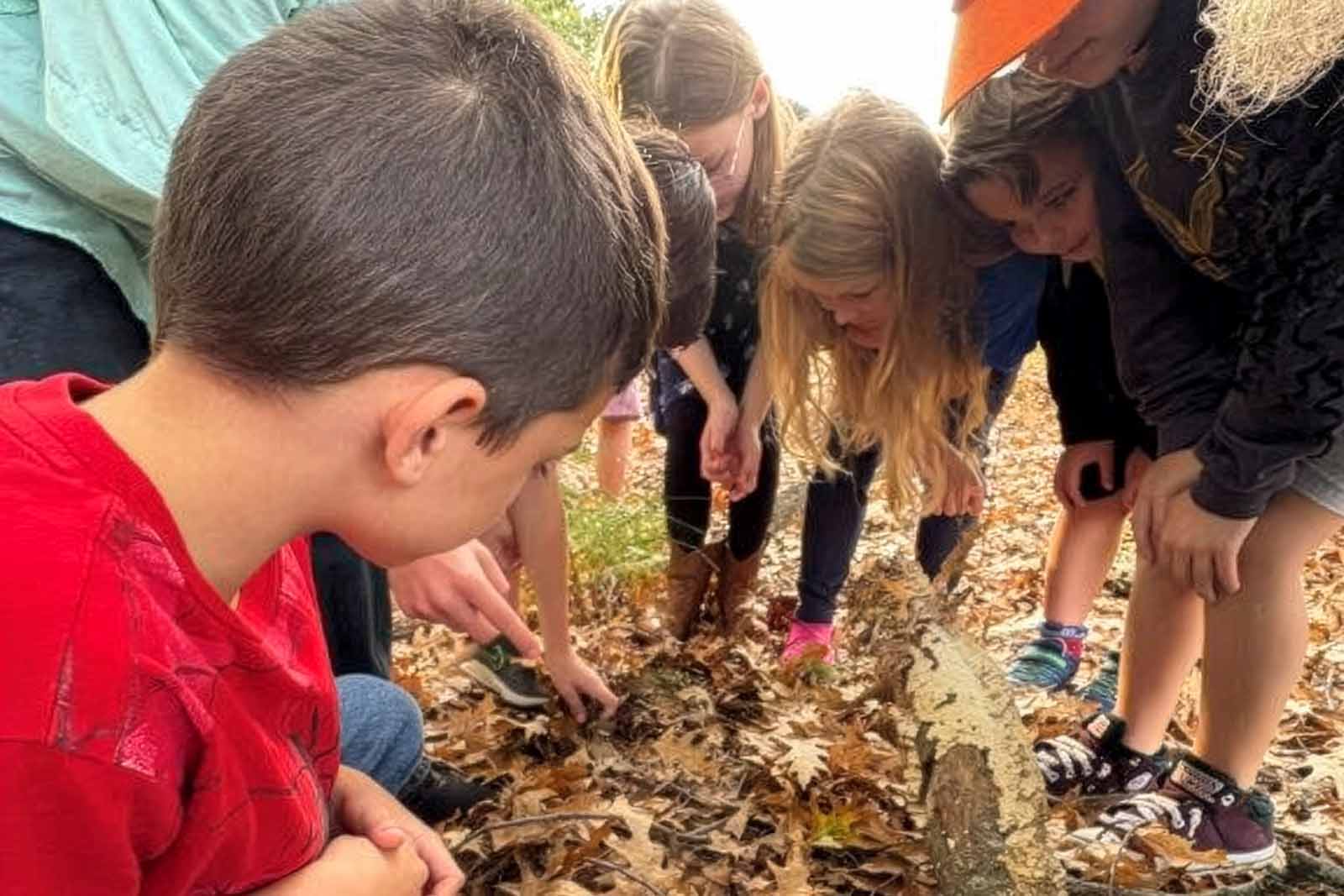 Année record pour les écoles naturelles de Virginie