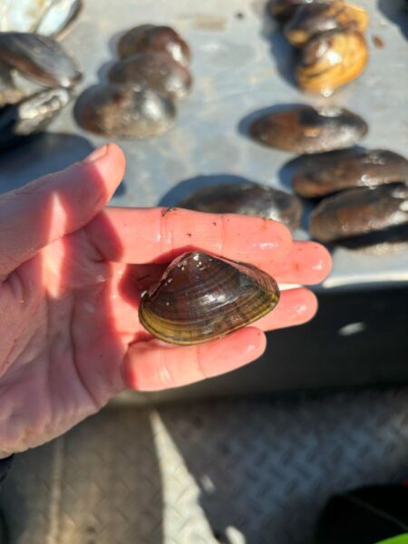 Une image du flotteur triangulaire