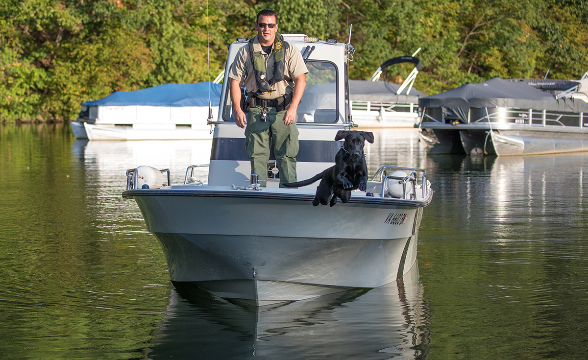 K9 Bailey au travail, sautant d'un bateau dans l'eau