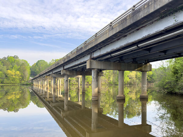 US-501 pont qui est un site de nidification important pour une colonie d'hirondelles de falaise