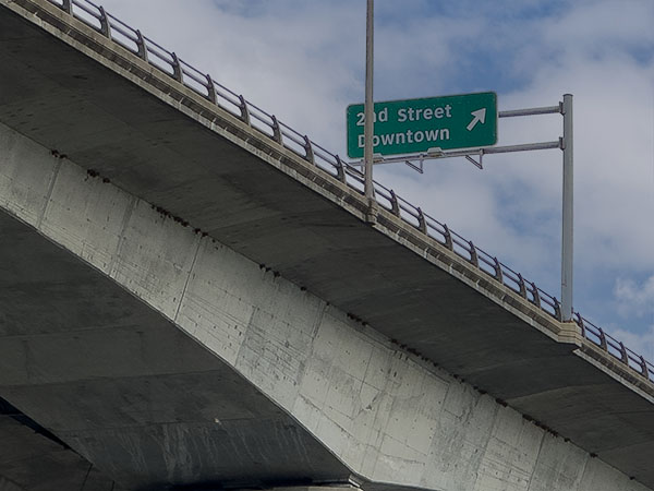 L'hirondelle de fenêtre niche sous le pont Lee. Crédit photo : Lisa Mease