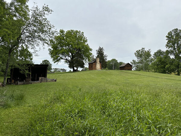 Le merle bleu, le moineau friquet et l'hirondelle ne sont que quelques-unes des espèces présentes à la ferme. Crédit photo : Lisa Mease