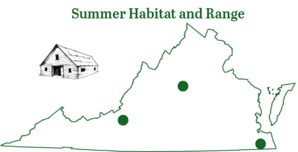 Carte de l'aire de répartition de la chauve-souris brésilienne à queue libre