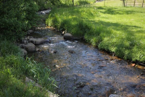 Vue en amont d'un ruisseau entouré d'herbe verte sur les pentes de part et d'autre.