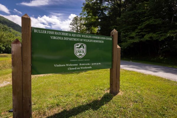 Panneau de bienvenue de l'écloserie de Buller